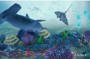 so米体育-在线观看nba直播|足球|篮球cba比赛高清视频